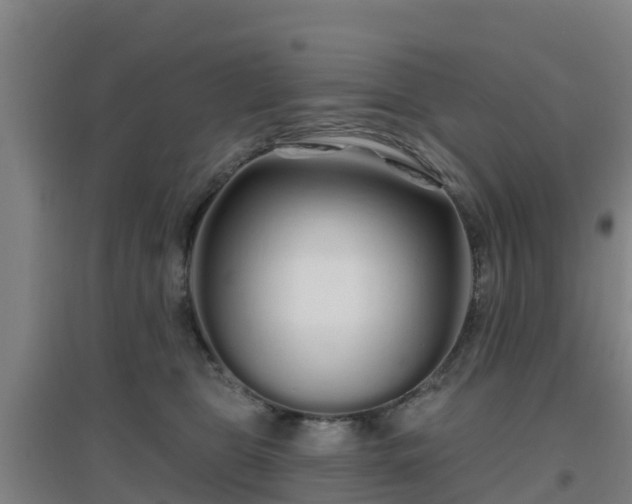 X0000096710469200802121229