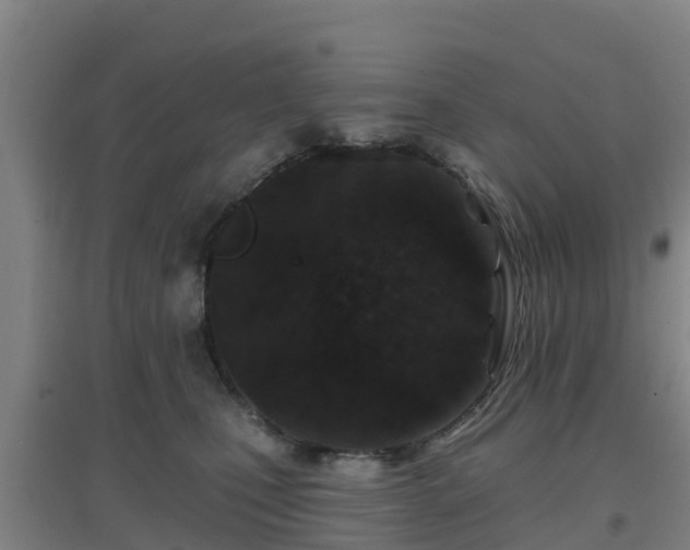 X0000096710471200802121229