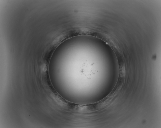 X0000096710472200802121229