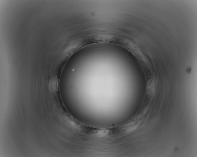 X0000096710474200802121229