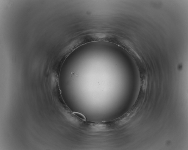 X0000096710476200802121229