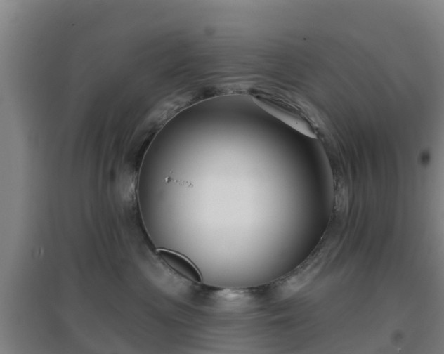 X0000096710477200802121229