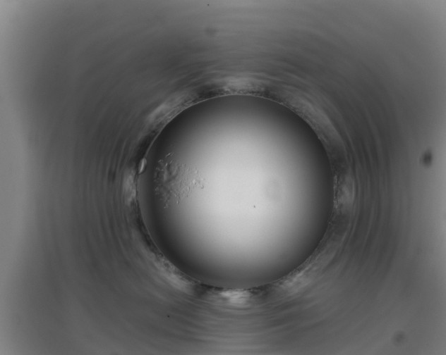 X0000096710478200802121229