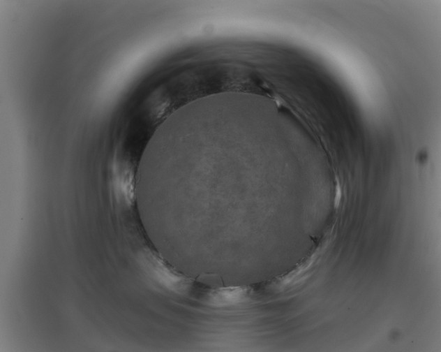 X0000096710479200802121229