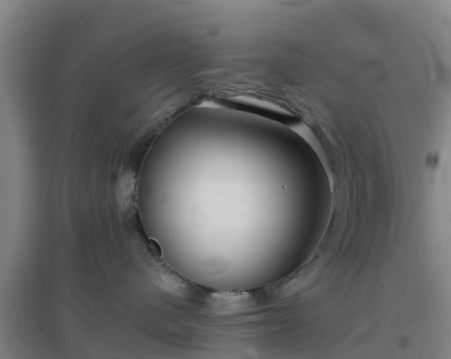 X0000096710480200802121229