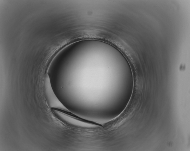 X0000096710481200802121228