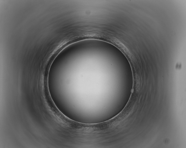 X0000096710482200802121228