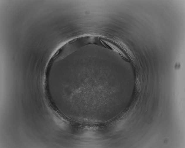 X0000096710484200802121228