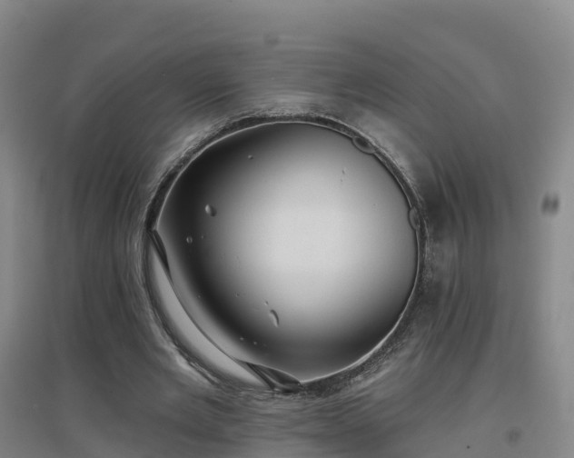 X0000096710485200802121228