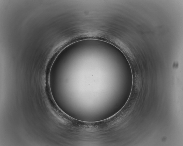 X0000096710486200802121228