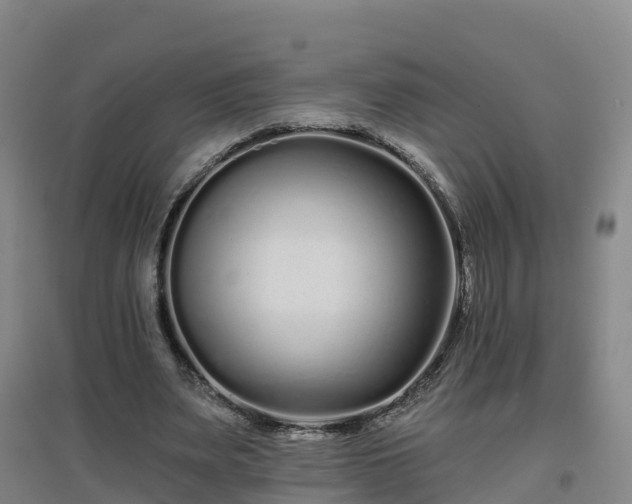 X0000096710487200802121228