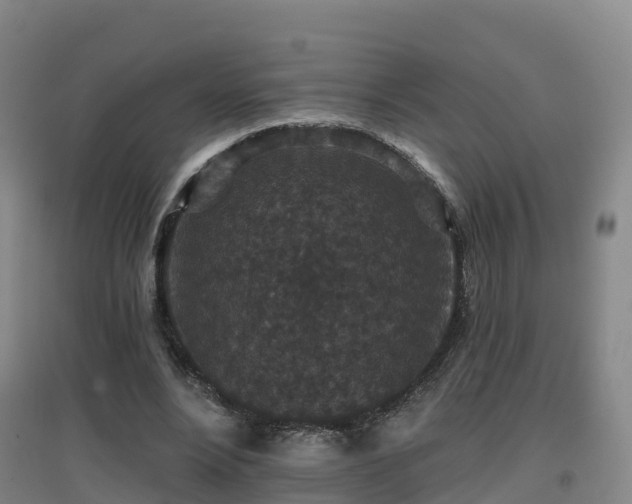 X0000096710488200802121228