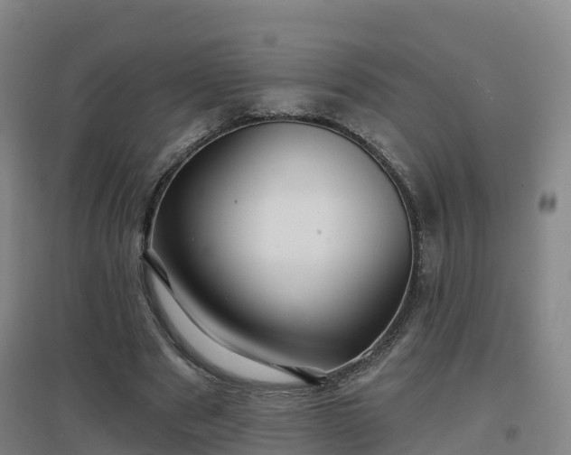 X0000096710489200802121228