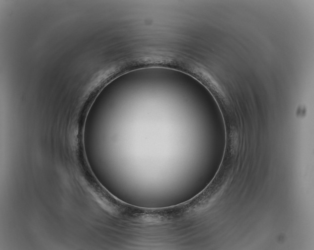 X0000096710490200802121228