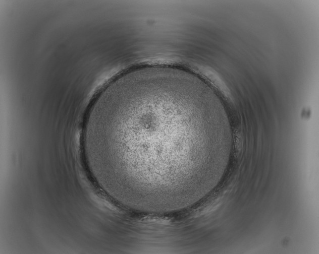 X0000096710491200802121228