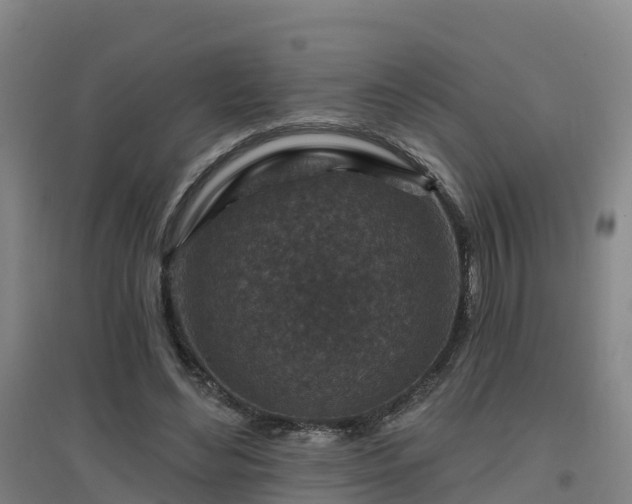 X0000096710492200802121228