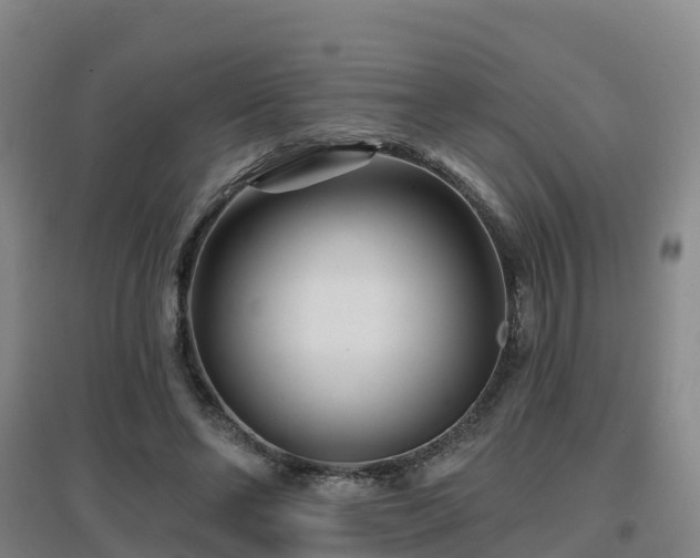 X0000096710494200802121228