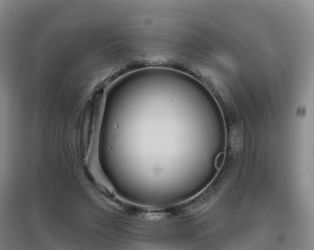 X0000096710495200802121228