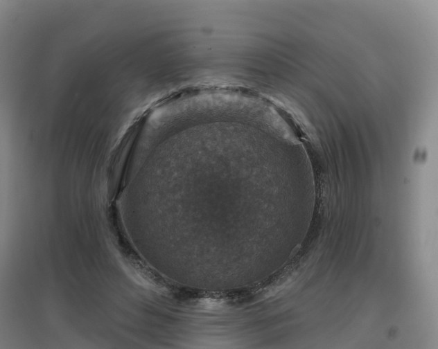 X0000096710496200802121228