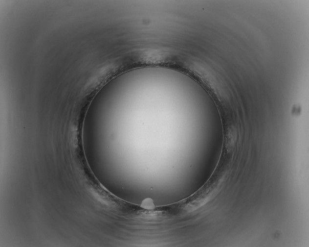 X0000096710497200802121228