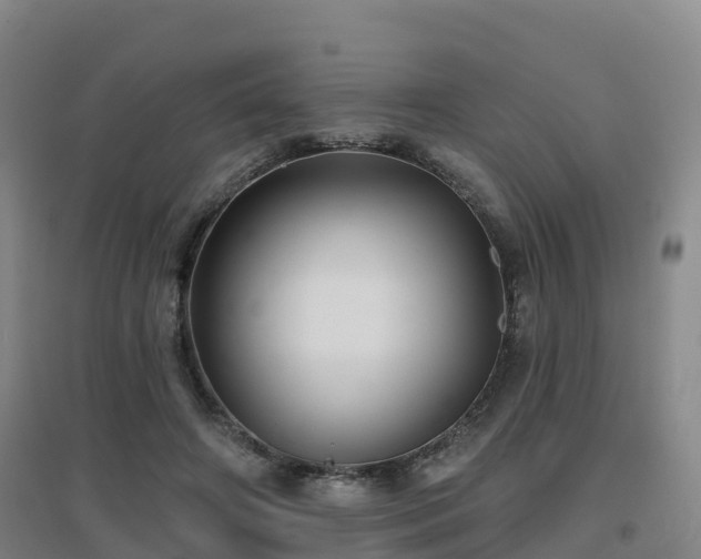 X0000096710498200802121228