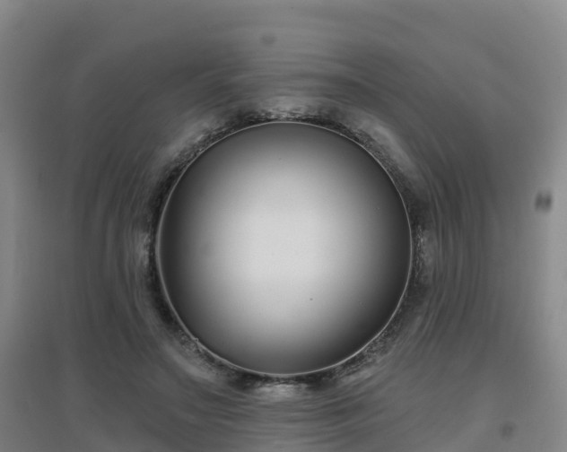 X0000096710499200802121228