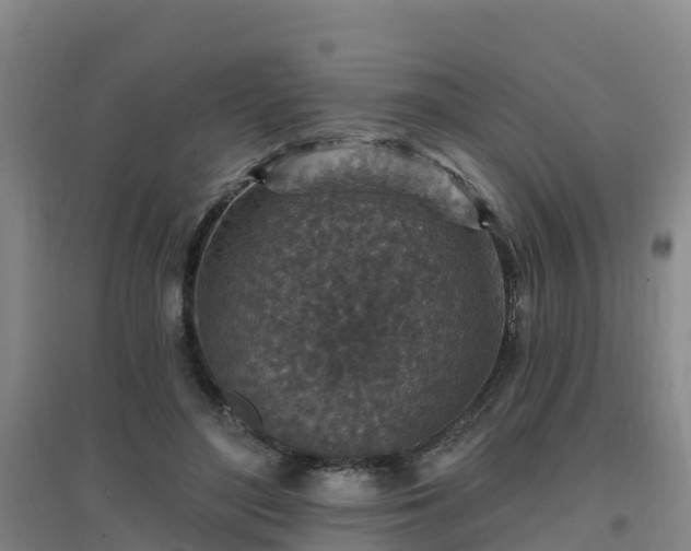 X0000096710500200802121228