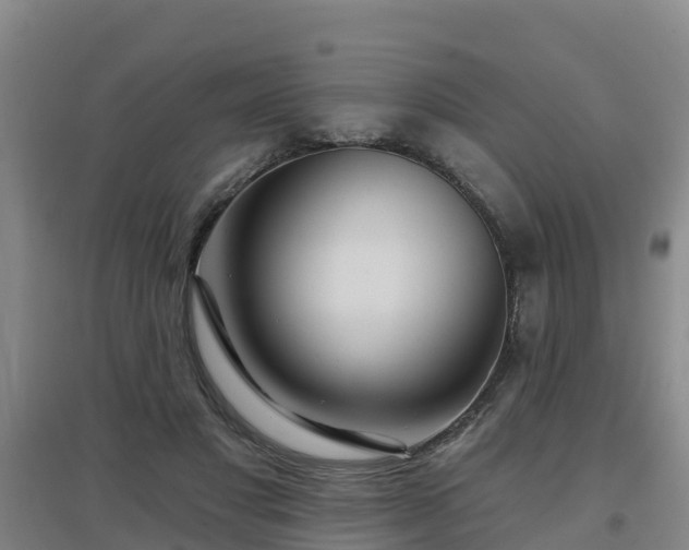 X0000096710501200802121228