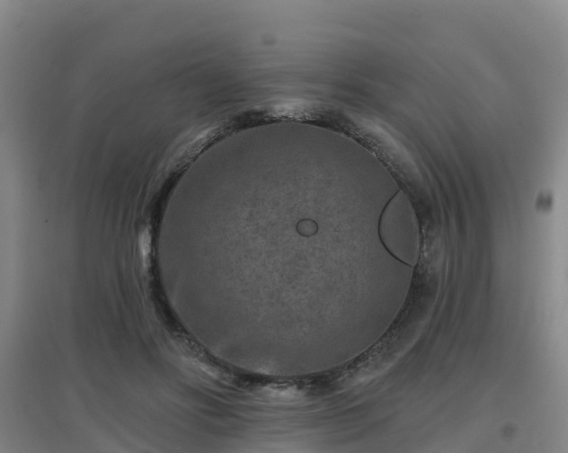 X0000096710502200802121228