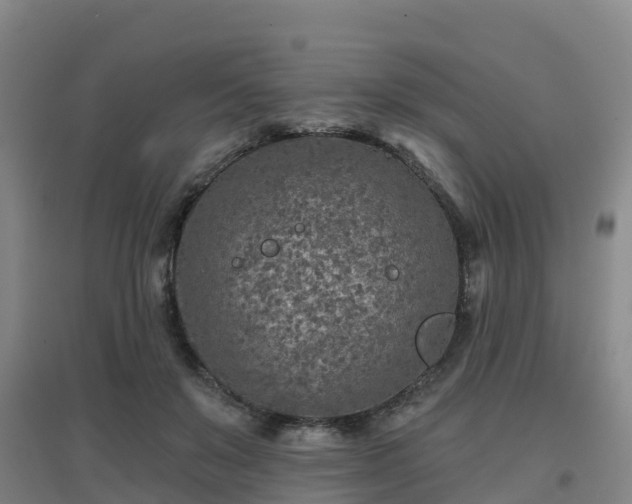 X0000096710503200802121228