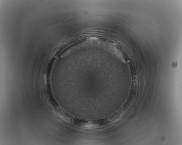 X0000096710504200802121228