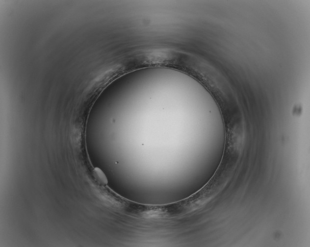 X0000096710505200802121228