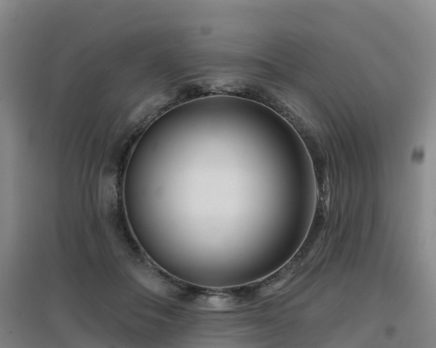 X0000096710506200802121228