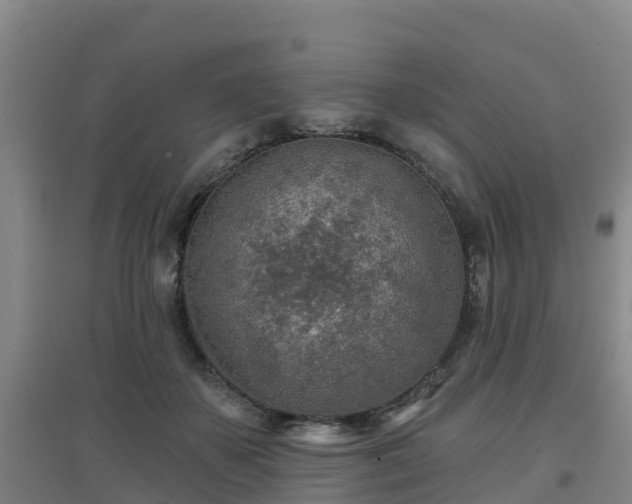 X0000096710507200802121228