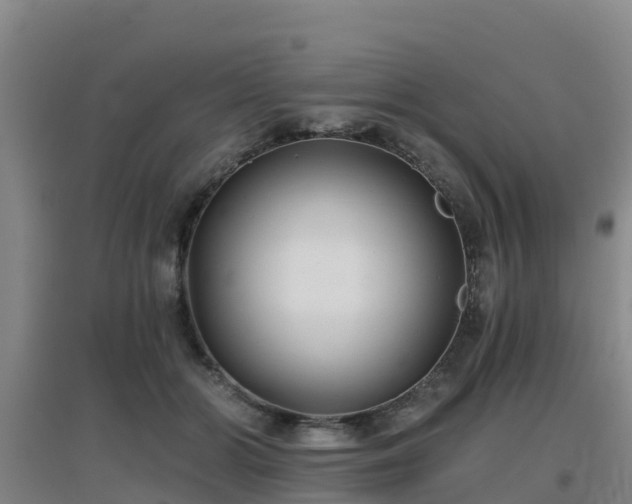 X0000096710510200802121228