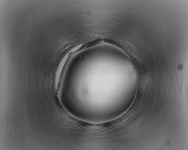 X0000096710511200802121228