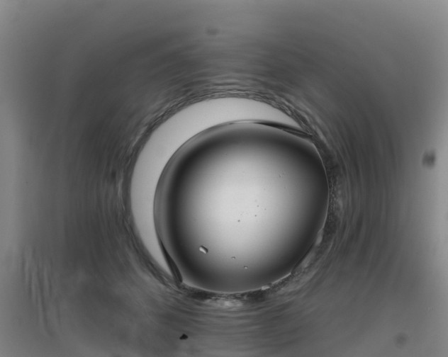 X0000096710512200802121228