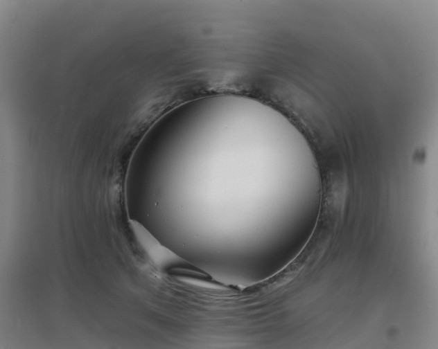 X0000096710513200802121228