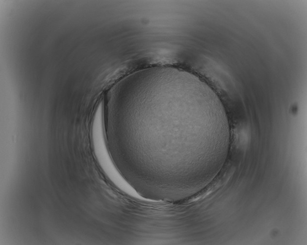 X0000096710517200802121228