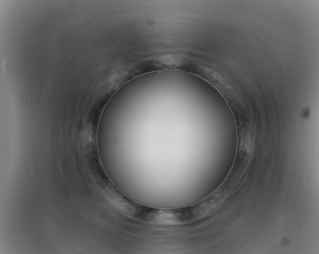 X0000096710518200802121228