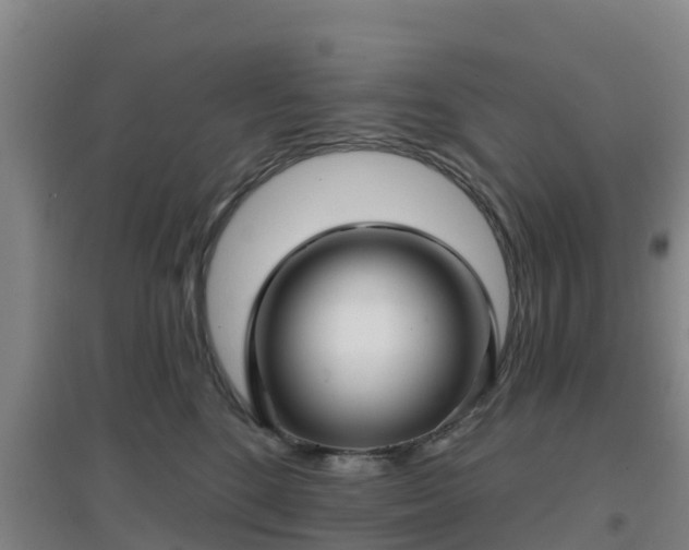 X0000096710520200802121228