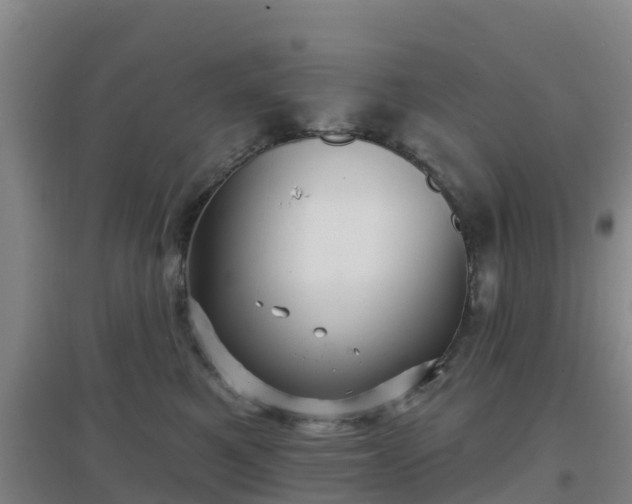 X0000096710521200802121228