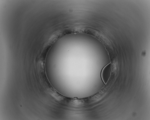 X0000096710522200802121228