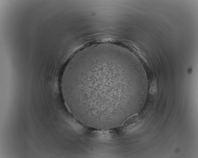 X0000096710524200802121228