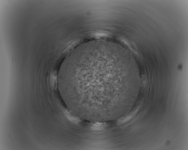 X0000096710527200802121228