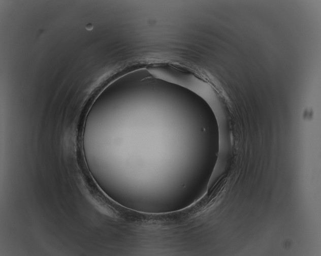 X0000096710530200802121227