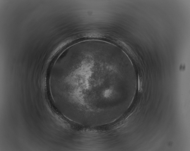 X0000096710531200802121227