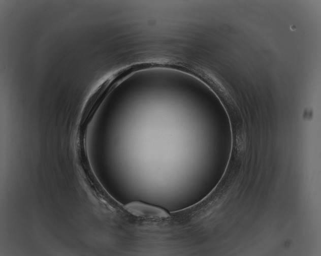 X0000096710532200802121227