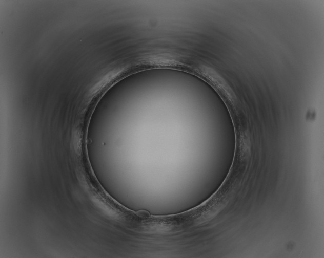 X0000096710533200802121227