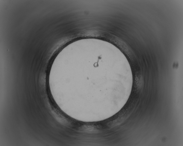 X0000096710534200802121227